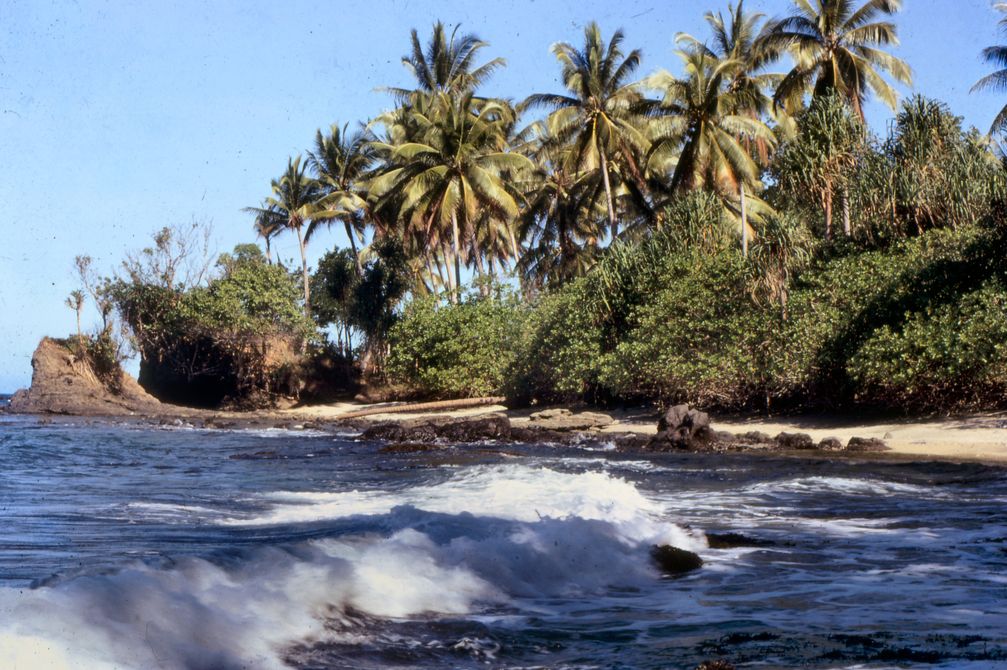 Küste in der Nähe von Popondetta, Papua-Neuguinea (1968), Archivbild