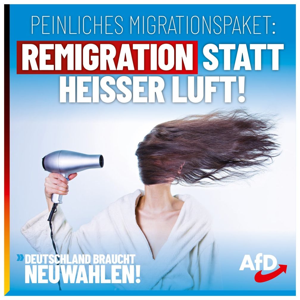 Bild: AfD Deutschland