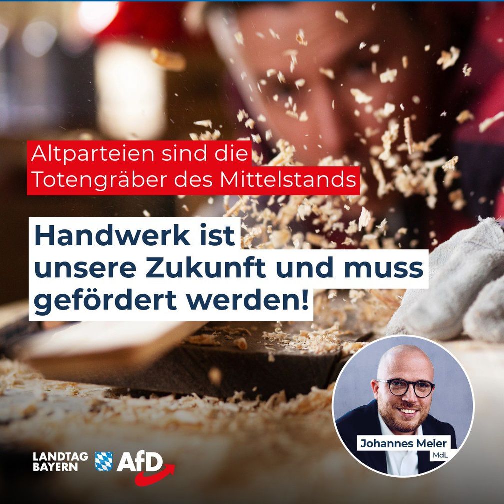 Bild: AfD Deutschland