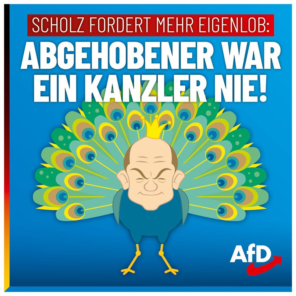 Bild: AfD Deutschland