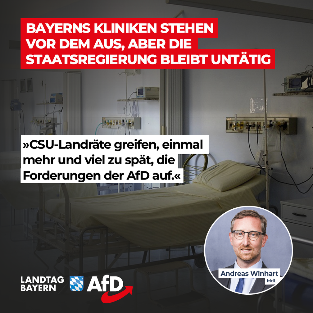 Bild: AfD Deutschland