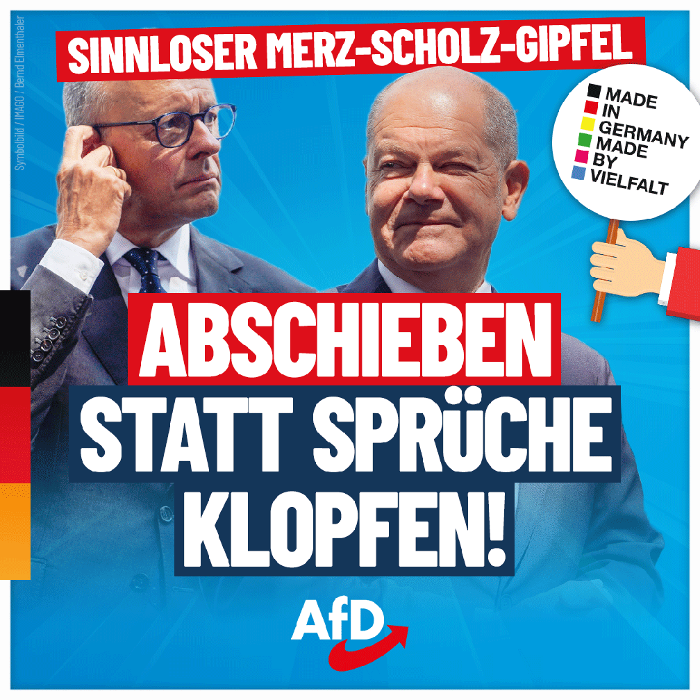 Bild: AfD Deutschland