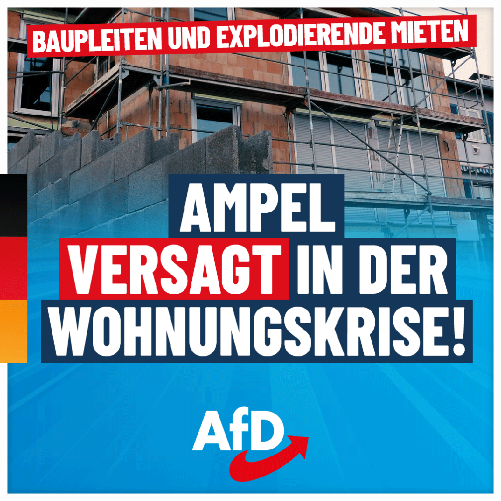 Bild: AfD Deutschland