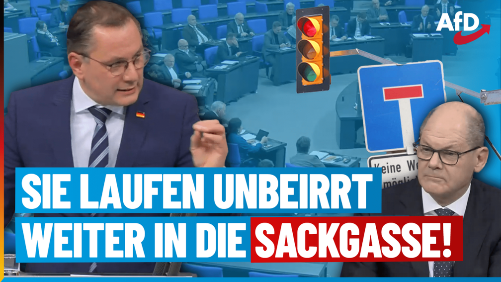 Bild: AfD Deutschland