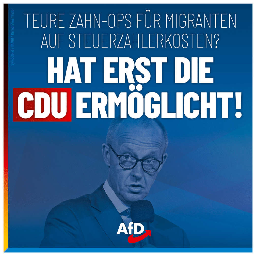 Bild: AfD Deutschland