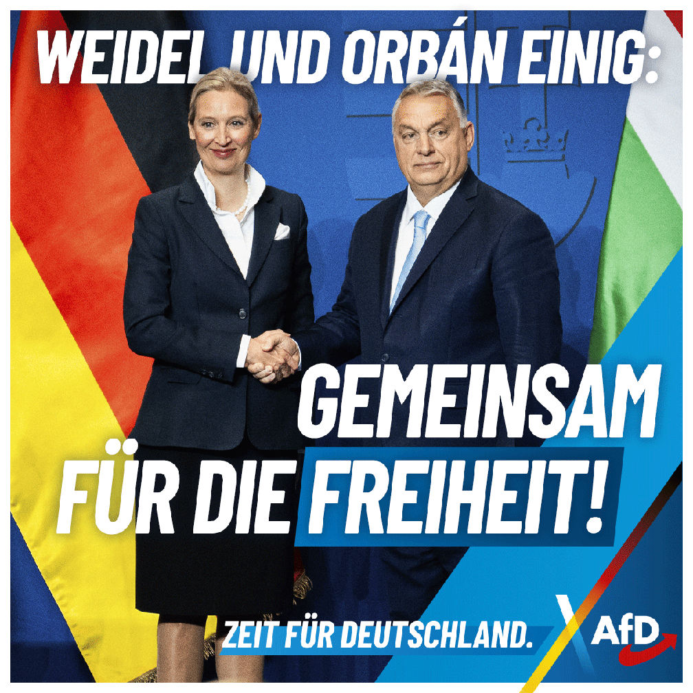 Bild: AfD Deutschland