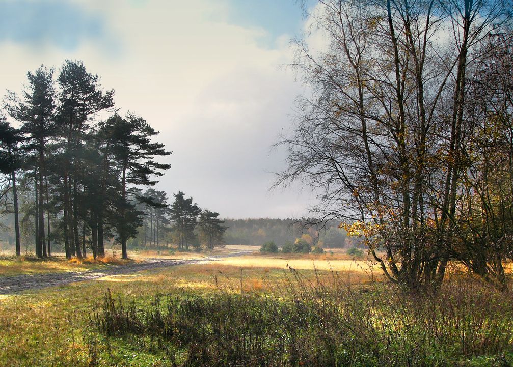 Sennelandschaft im Herbst