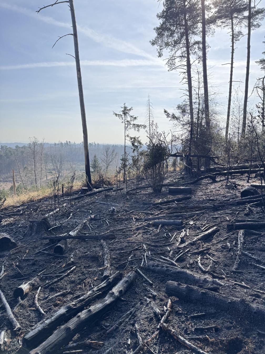 Bild: Feuerwehr