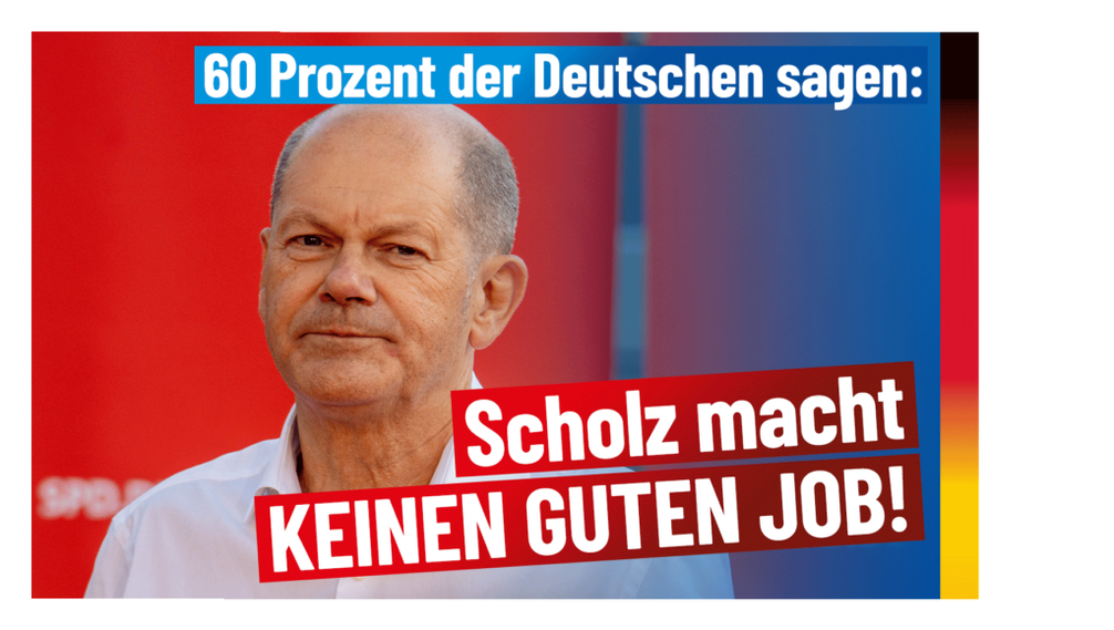 Bild: AfD Deutschland