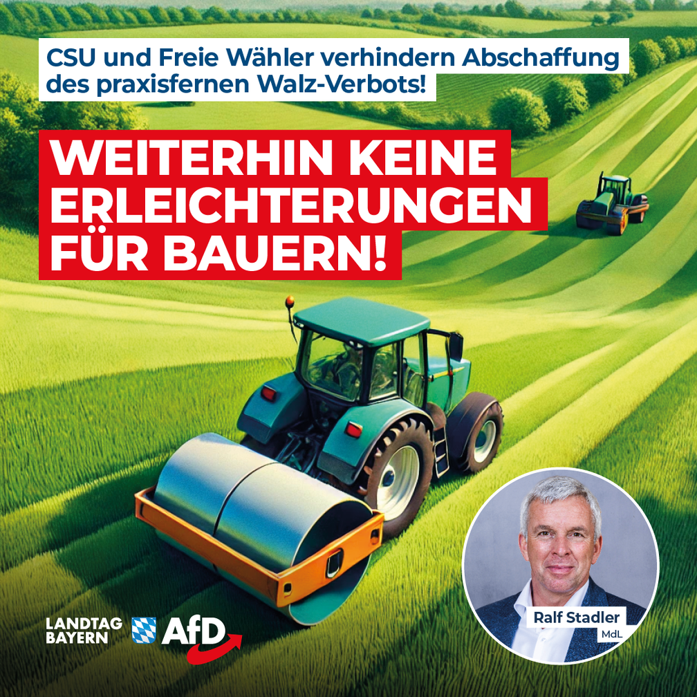 Bild: AfD Deutschland