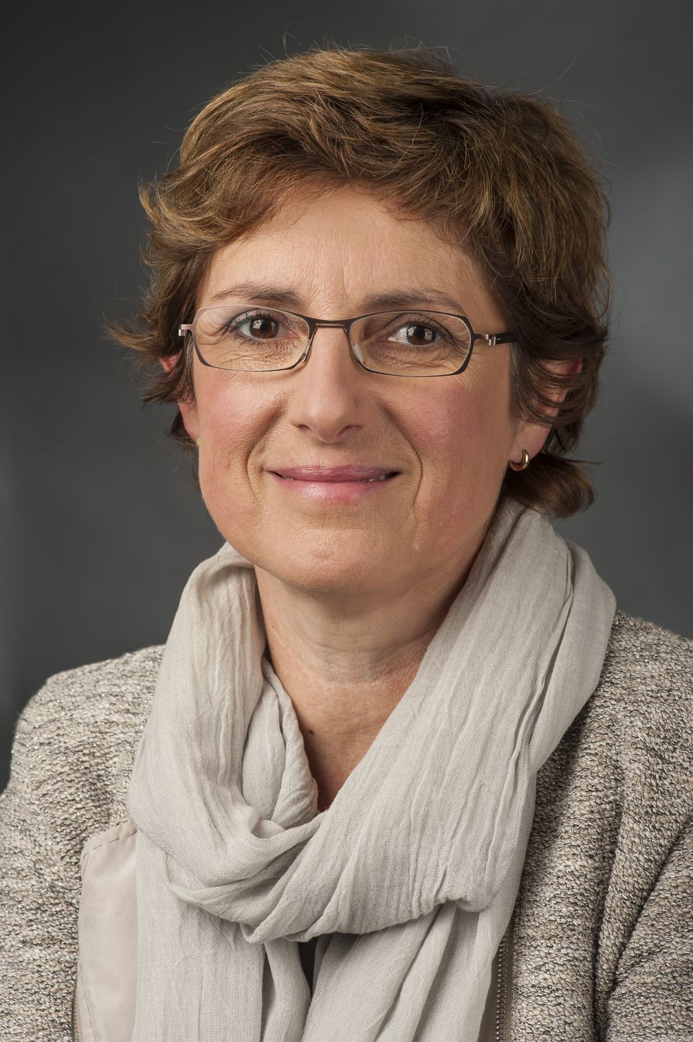 Britta Haßelmann (2014), Archivbild