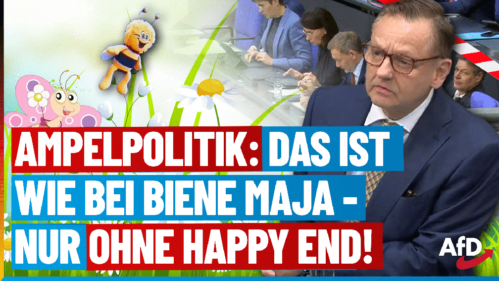 Bild: AfD Deutschland