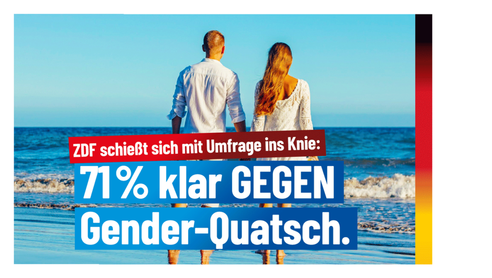 Bild: AfD Deutschland