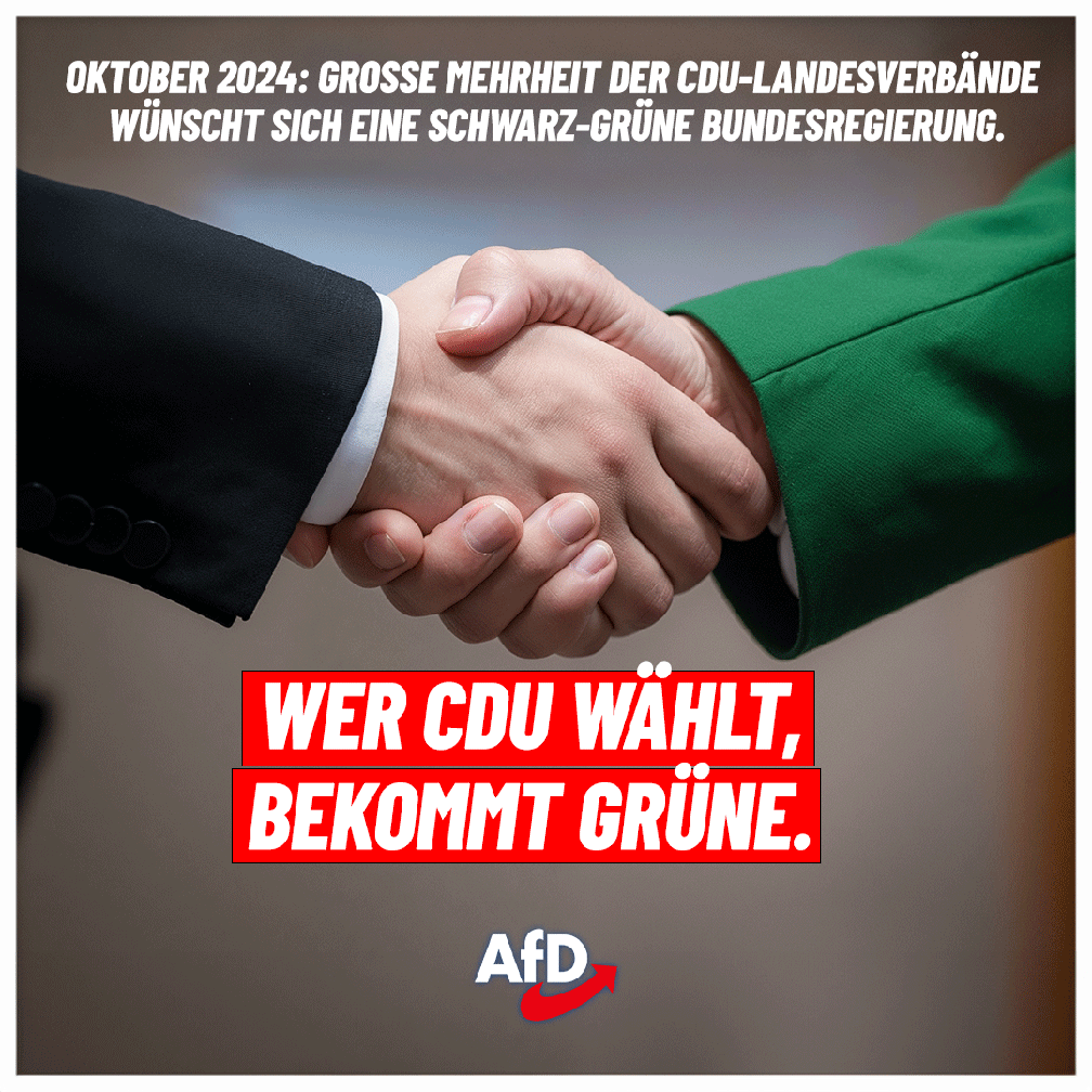 Bild: AfD Deutschland