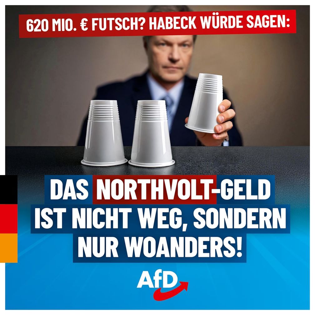 Bild: AfD Deutschland