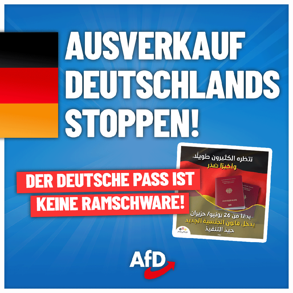 Bild: AfD Deutschland