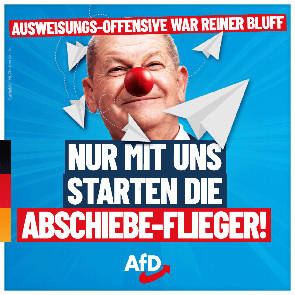 Bild: AfD Deutschland