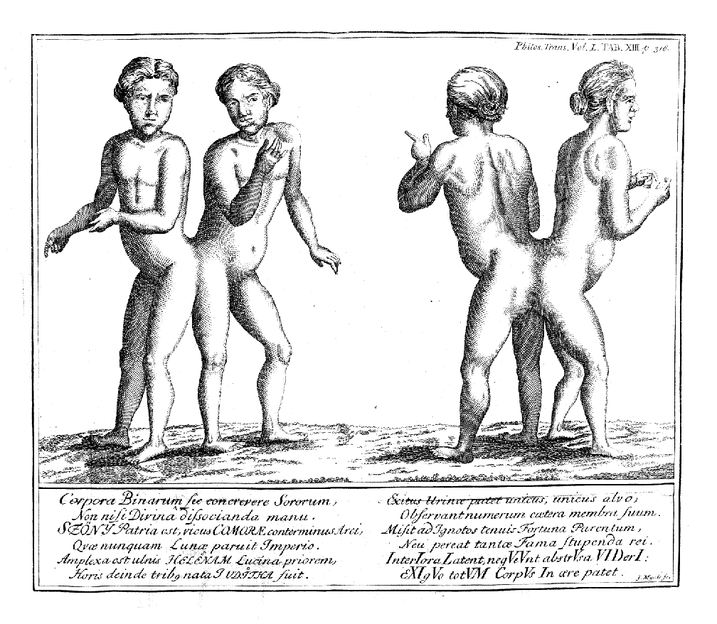 Judith und Helena von Szony auf einer Zeichnung 1757