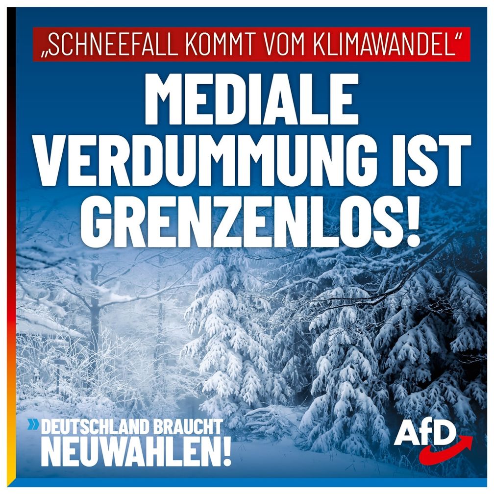 Bild: AfD Deutschland