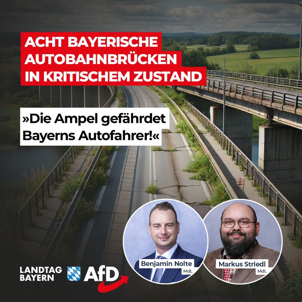 Bild: AfD Deutschland