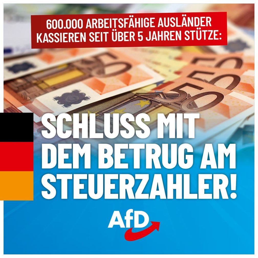 Bild: AfD Deutschland