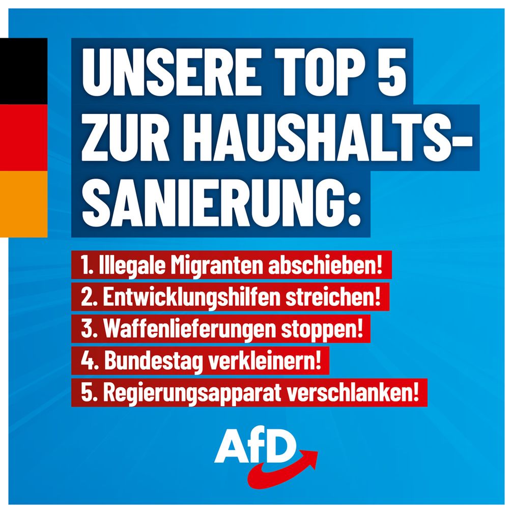 Bild: AfD Deutschland