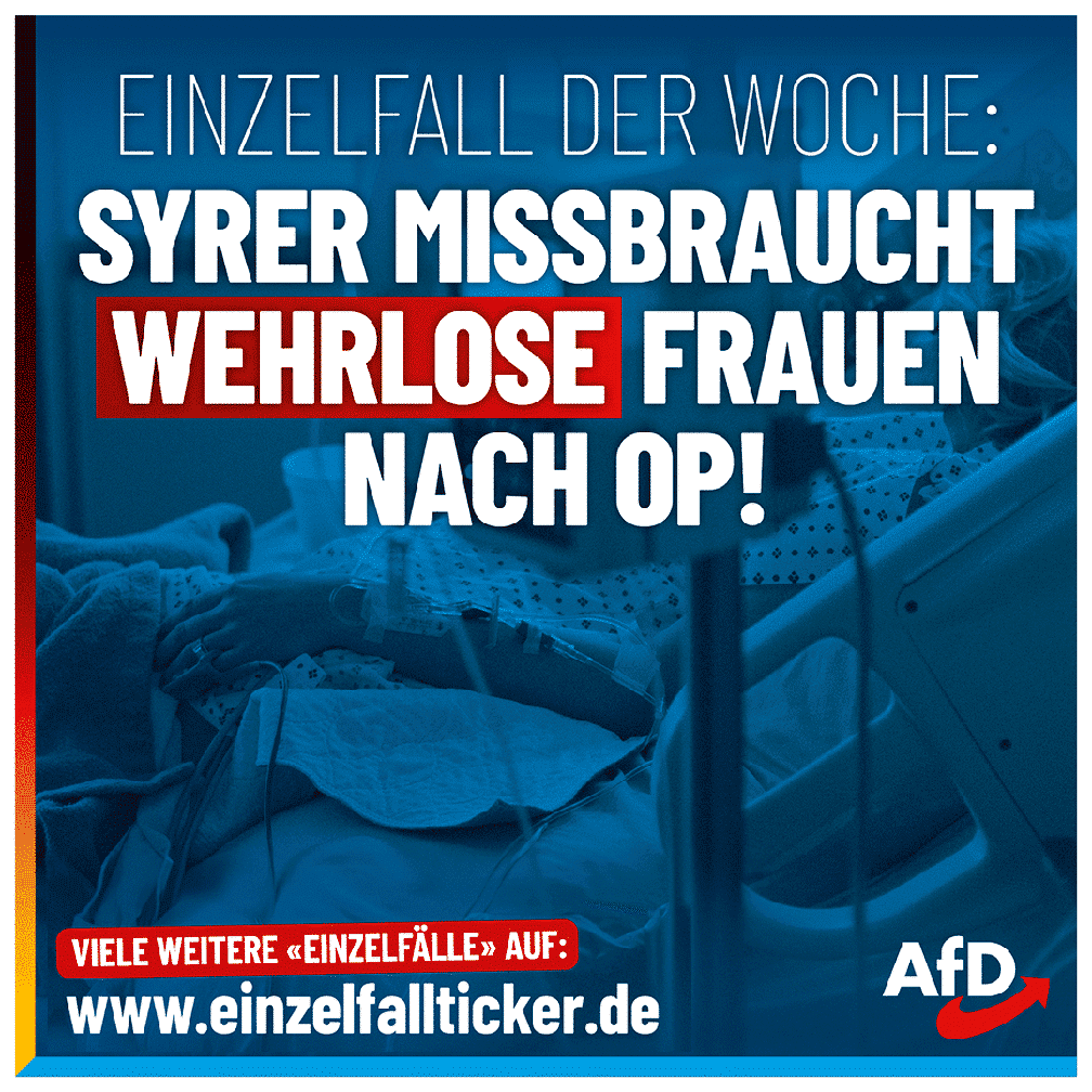 Bild: AfD Deutschland