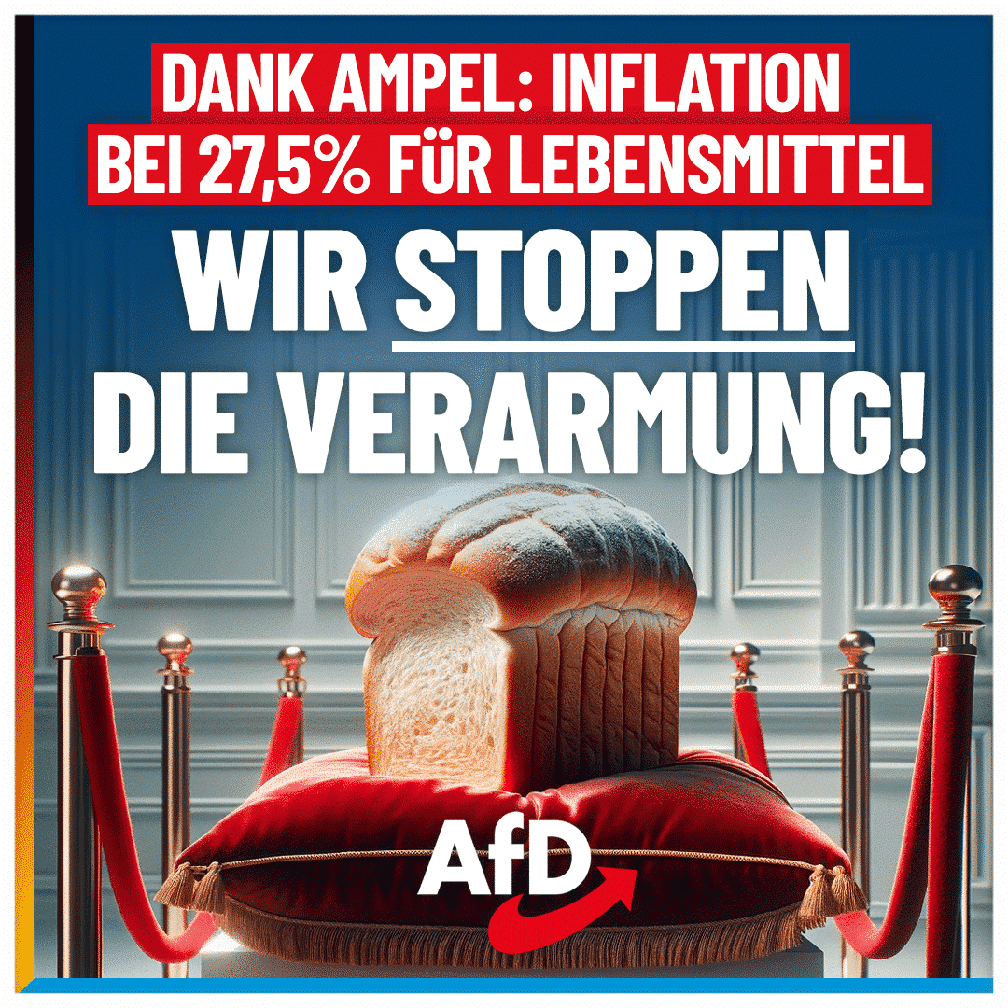 Bild: AfD Deutschland