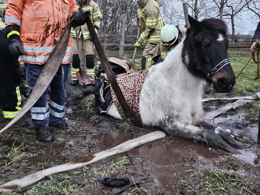 Bild: Feuerwehr