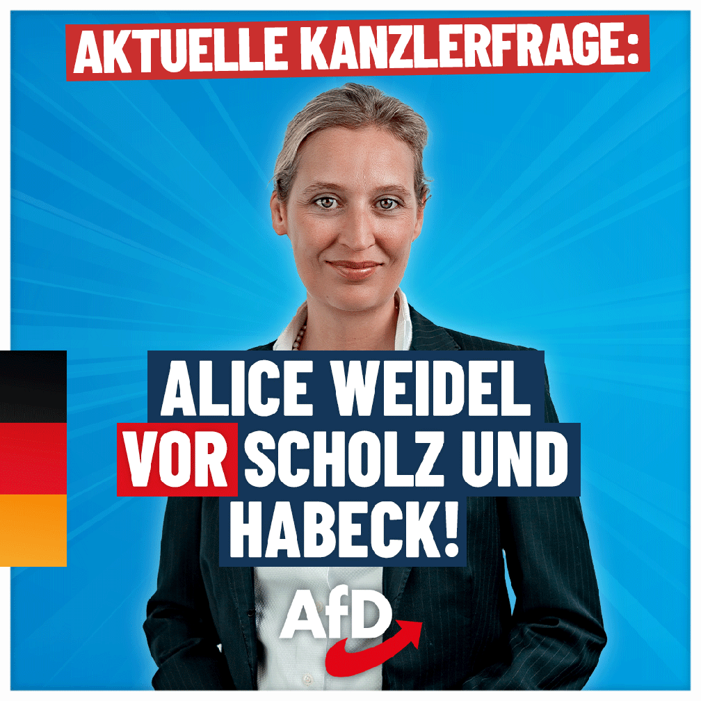 Bild: AfD Deutschland