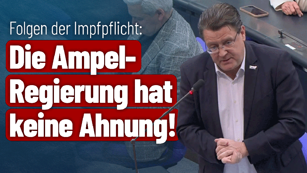 Bild: AfD Deutschland