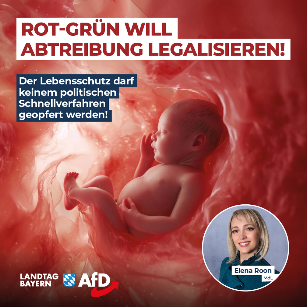 Bild: AfD Deutschland