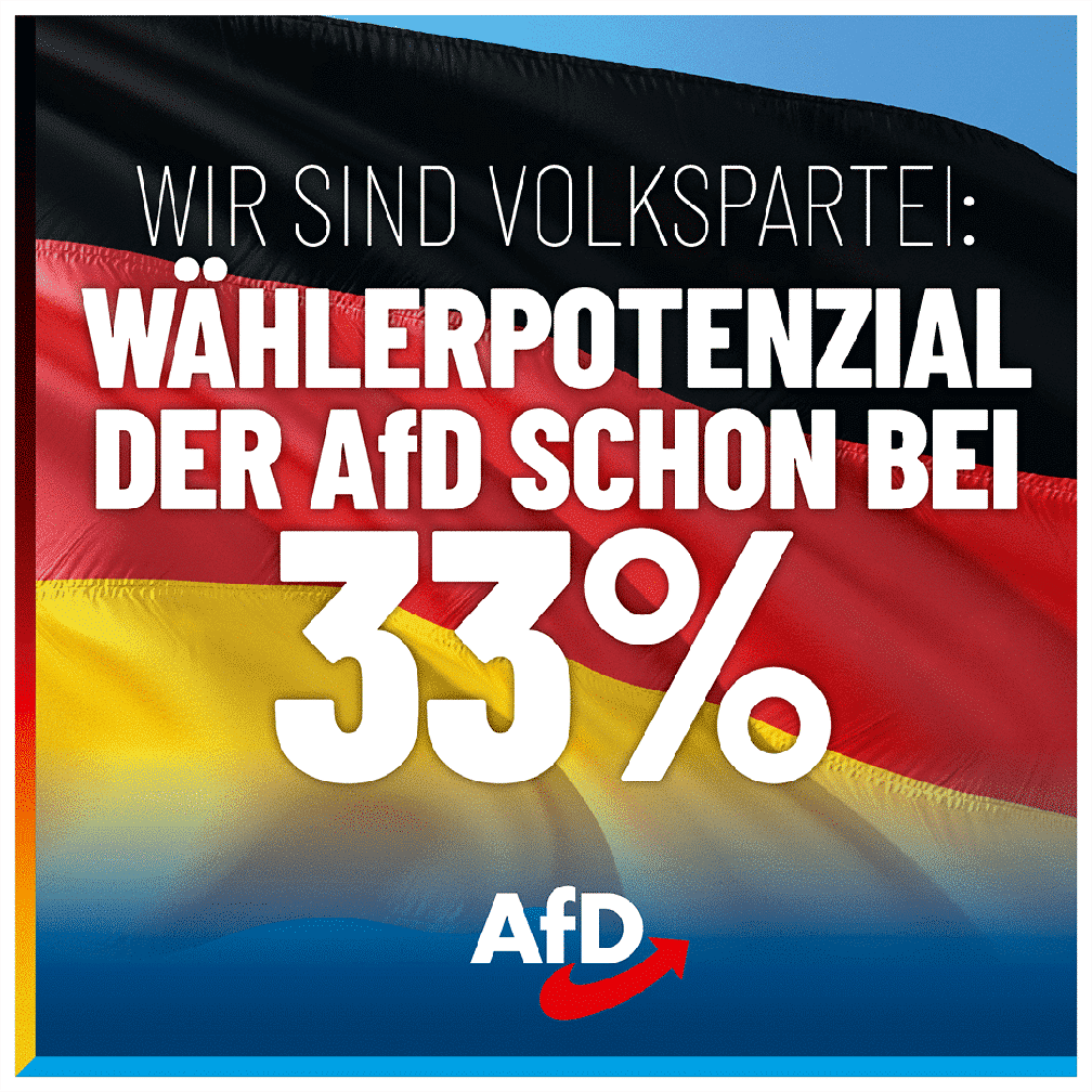 Bild: AfD Deutschland