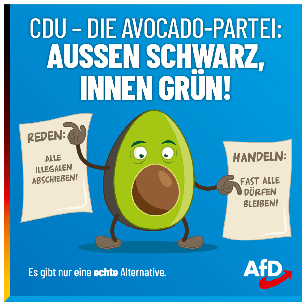 Bild: AfD Deutschland