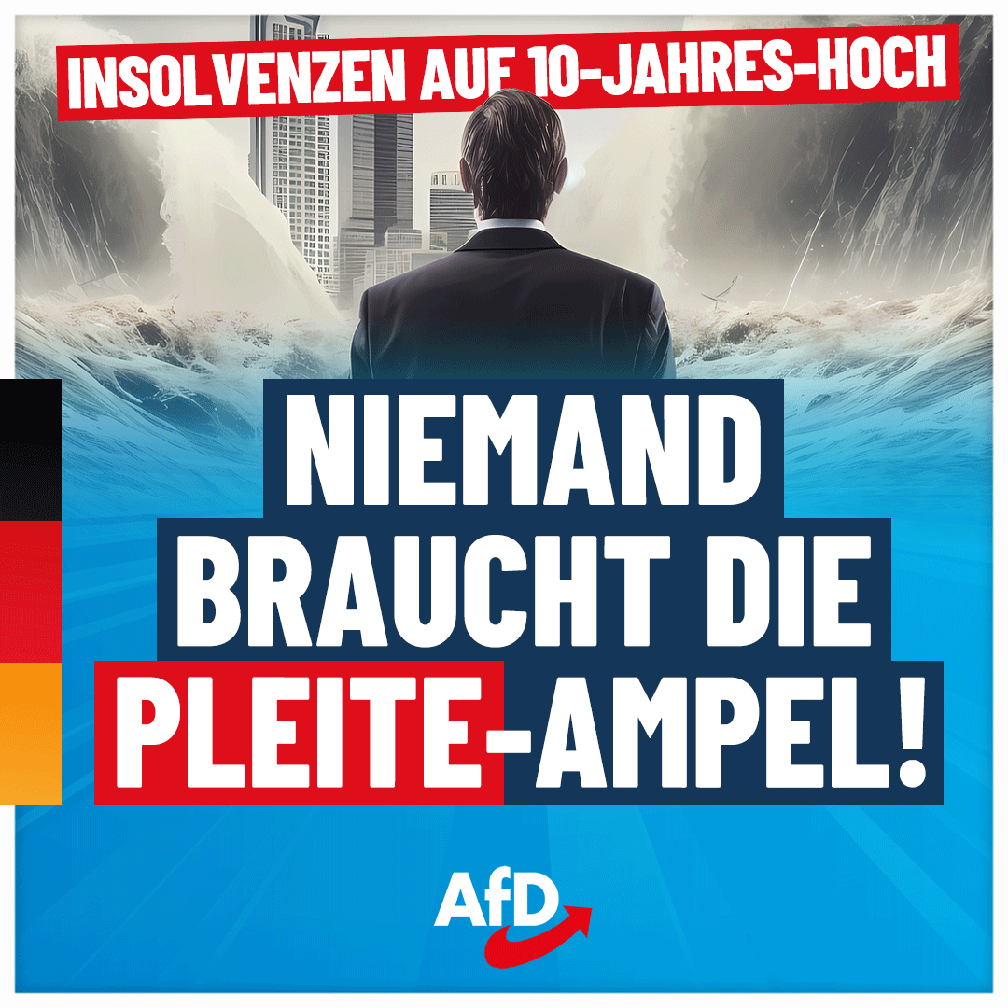 Bild: AfD Deutschland