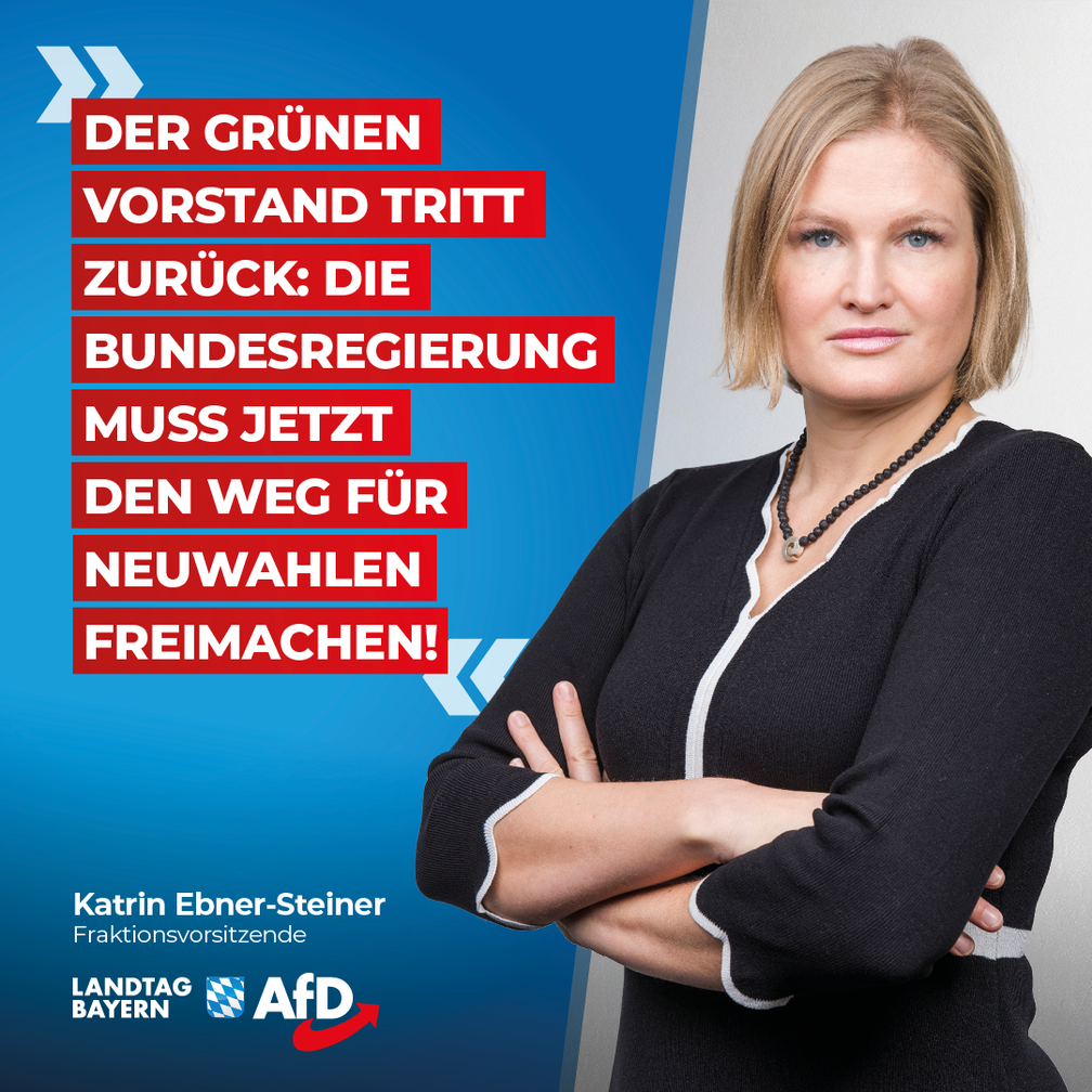 Bild: AfD Deutschland