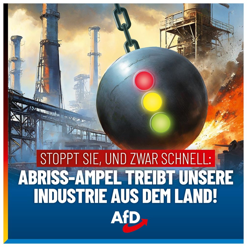 Bild: AfD Deutschland