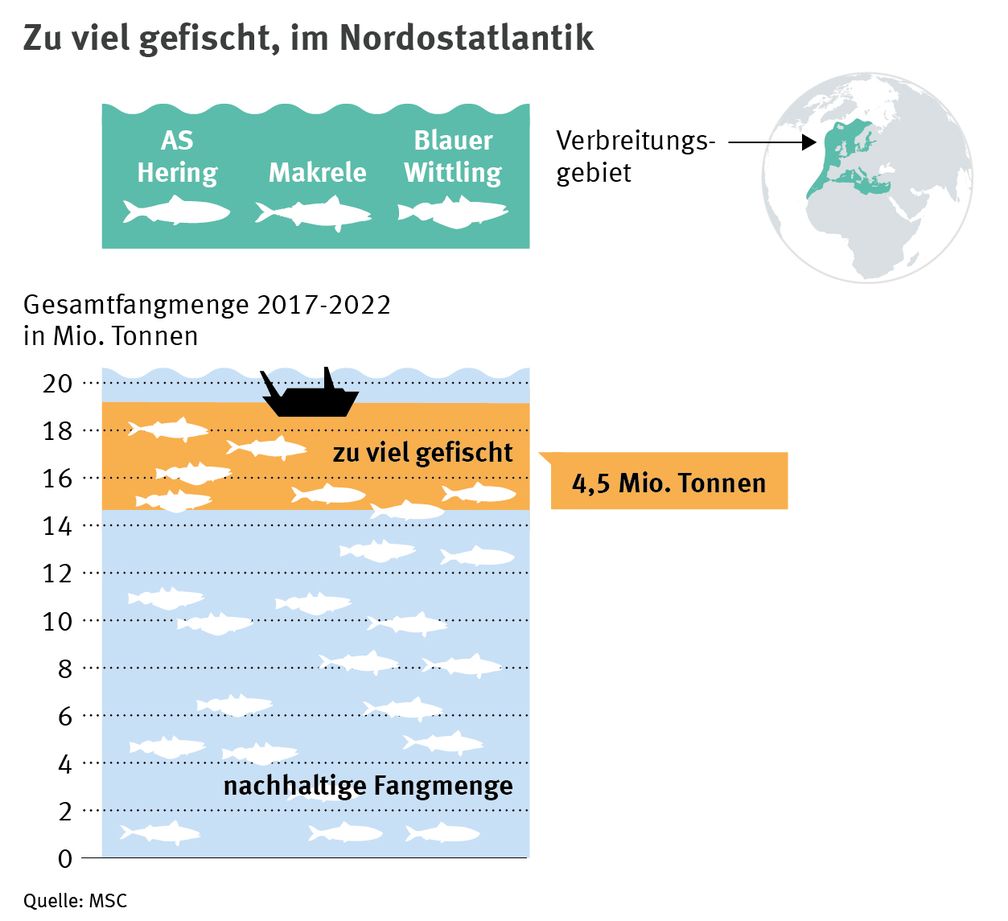 Fortlaufende Überfischung gefährdet die Gesundheit der Meere, die Lebensgrundlagen der Menschen und die Wirtschaft.