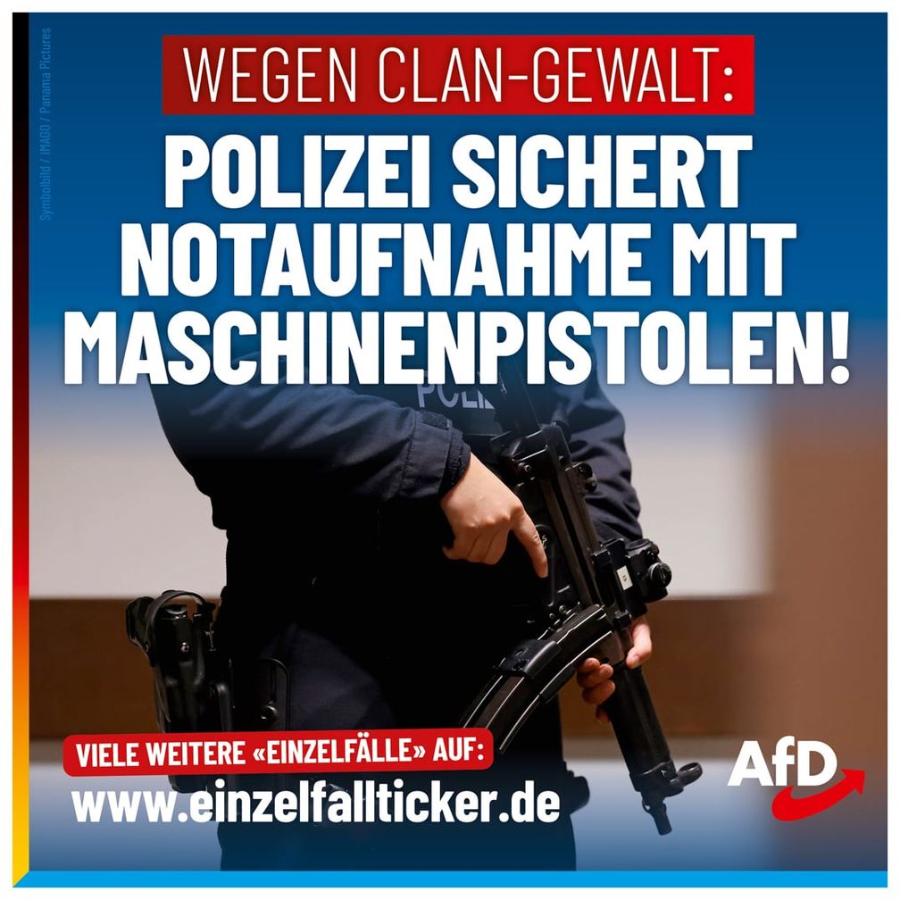 Bild: AfD Deutschland