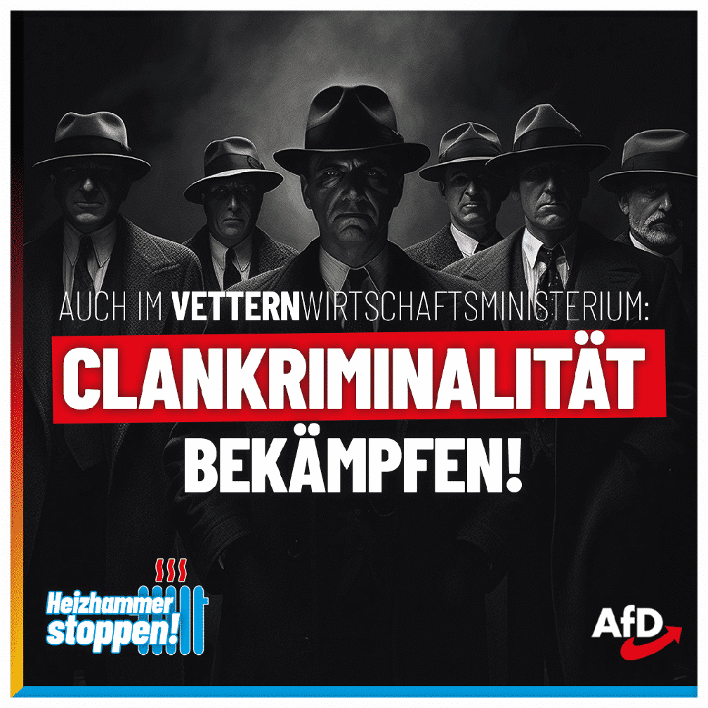 Bild: AfD Deutschland