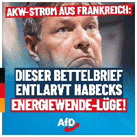 Bild: AfD Deutschland