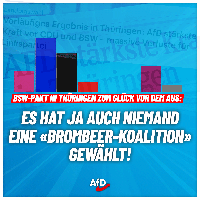 Bild: AfD Deutschland