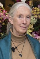 Jane Goodall