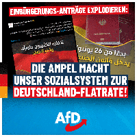 Bild: AfD Deutschland