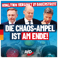 Bild: AfD Deutschland