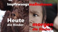 Impfzwangsmaßnahmen: Heute die Rinder, morgen die Kinder?