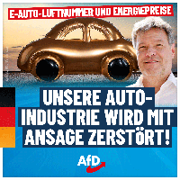 Bild: AfD Deutschland