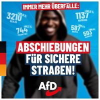 Bild: AfD Deutschland