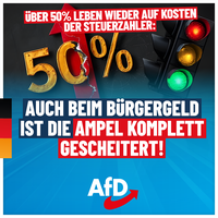 Bild: AfD Deutschland