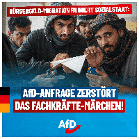 Bild: AfD Deutschland